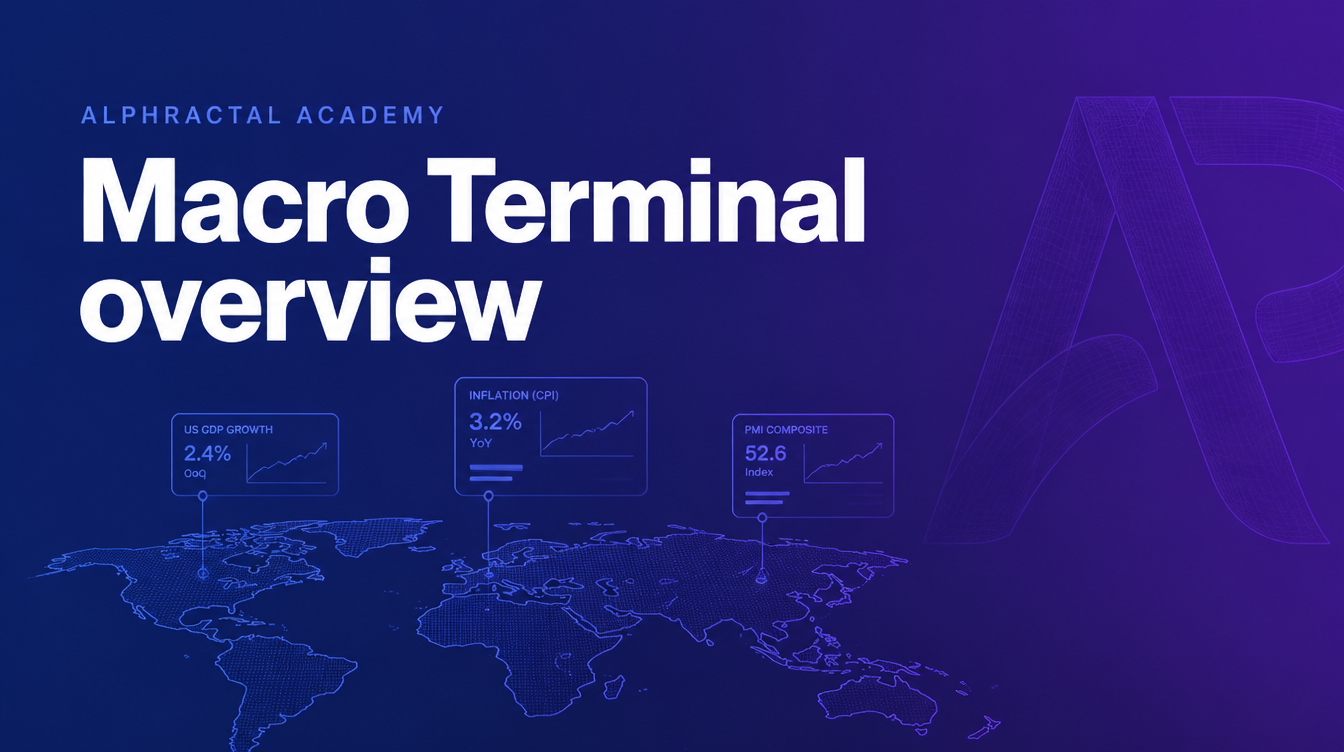 Macro Terminal overview